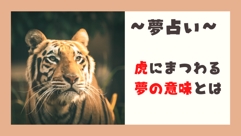 夢占い 虎が夢に出る意味 吠える 飼う 戦うなどの状況別で解説 占いconnect