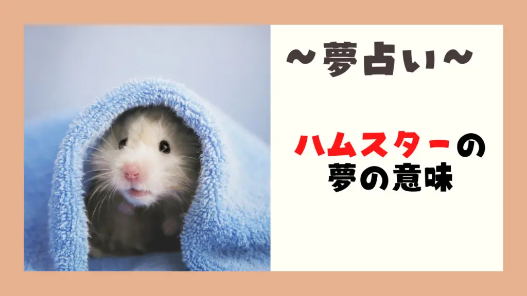 夢占い ハムスターが夢に出る意味とは 飼う 撫でる 逃げるなど状況別に解説 占いconnect